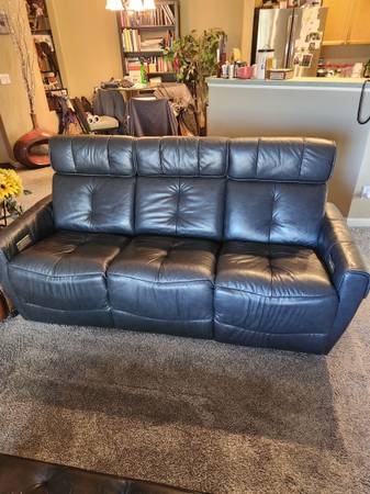 Leather Couch 1
