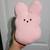 Plush bunnies with back zipper pouch 2 thumbnail