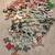 Mexican Xmas tree 3 thumbnail