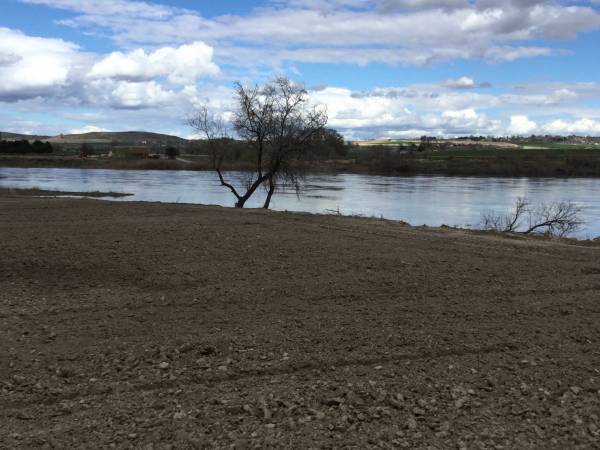 $330,000 River Front Acre (Marsing)63981533710467121
