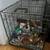 Selling USED pet crate 3 thumbnail