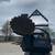 Skid Steer Tree Grubber 5 thumbnail