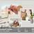 You will love this 2 bed / 1 bath. A Higher Quality of Living! 1 thumbnail