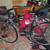 BIANCHI 8 thumbnail