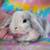 💗💕💝 Holland Lop Bunnies 💝💕💗 1 thumbnail