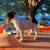 Rat Terrier Puppies🐶 7 thumbnail
