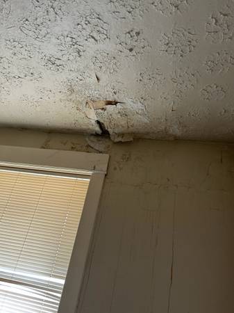$1,300 / 3br - 1500ft2 - 3 bed needs work 1300 (Cleveland)63924296198403123