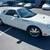 2002 Ford Thunderbird 30K low miles 19 thumbnail