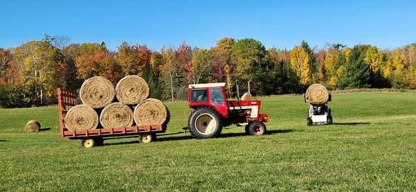 LG round Bales Grass/clover Hay 1