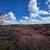 3.5 Acres With A Well 10 thumbnail