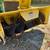 John Deere LX188 Snowblower/mower/bagger/dethatcher 4 thumbnail