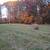 Hay for sale 7 thumbnail