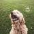 Tennis court, State-of-the-art fitness center, Dog park 7 thumbnail