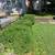 HDZ GROUP LLC Landscaping and lawn services 15 thumbnail