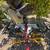 Compound sliding mitre saw by CRAFTSMEN on a DEWALT rollong stand 1 thumbnail