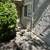 Modern 2 Bed / 1 Bath Unit in Chico, CA - Available 07/19/2025 - $1200 3 thumbnail