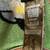 Hoyt Magnatec Intruder Compound Bow 11 thumbnail