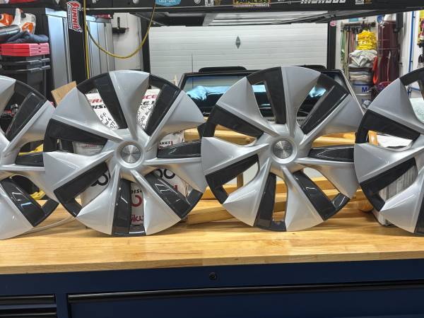 2024 Tesla Gemini Hubcaps 1