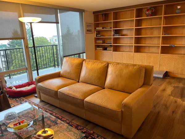 American leather sleeper sofa 1