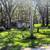 OWNER FINANCING FIXER UPPER 1/2 ACRE 2BD 1BA $7K DN $799 MO 6 thumbnail
