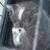 kitten 2 thumbnail