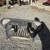 Jeep Grill 3 thumbnail