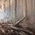 Wildlife Wall painting 5 thumbnail