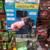 West Town Archery Sells Bowfishing - Carpshooting Gear 6 thumbnail