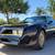 1978 Pontiac Firebird Trans Am 3 thumbnail