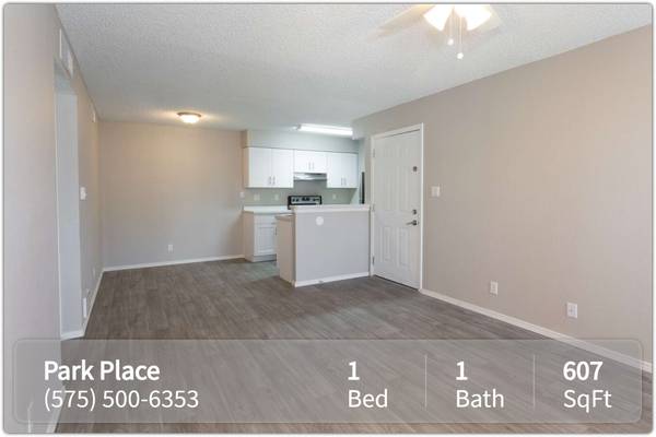 $1,010 / 1br - 607ft2 - Abundant space in your new 1 bed 1 bath, along with washer and dryer (Las Cruces - Near NMSU)63861850852995121