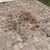 PAVER RESTORATION  •  $1 PER SF (minimums apply) 10 thumbnail