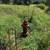 0.75 Acre Building Lot 5 3 thumbnail