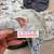 Cloth diapers 5 thumbnail