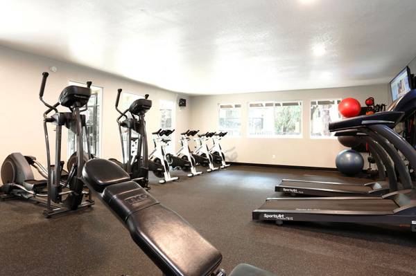 2 BD 1 BTH,  Renovated with  a view 1