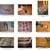 1960 thru 1963 Ford Falcon and Mercury Comet parts. 1 thumbnail