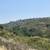 19.74 Acres Allowed Multiple Uses - Finance with only $50K Down! 1 thumbnail