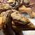New born Boas 2 thumbnail