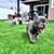 French Bulldog Puppies 4 thumbnail