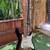Guitar sale! 15 thumbnail
