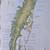 Original Art Signed Limited Edition Thelma Jarvis Peterson Chesapeake Bay NORTHE 3 thumbnail
