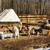 Covered Hay Feeder for Goats Sheep 1 thumbnail