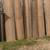 Live edge Slabs 4 thumbnail