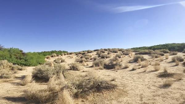 $75,000 / 435600ft2 - 10 Acres de Tierra (29 Palms CA)63668337497985122