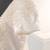 Exquisite Long Train Bead Embellished Wed Gown Professionally Preserve 6 thumbnail