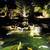 ⭐ Landscape service ⭐ Custom Pond, waterfalls ⭐ Designing and building 3 thumbnail