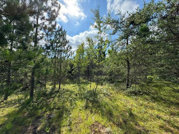 $72,999 / 43560ft2 - 10 Wooded acres backing up to hundreds of acres of state land! (Cheboygan)64037895277699123
