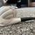 2 Meerschaum Pipes 2 thumbnail