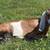 Purebred Nubian Wether 1 thumbnail