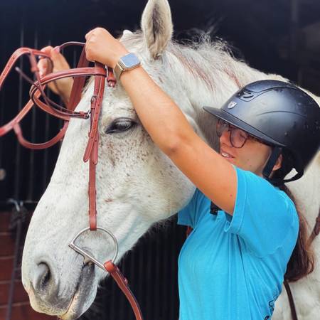Horsebsck ridding lessons HOLIDAY SPECIAL 1