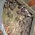 Adult coturnix quails available 4 thumbnail